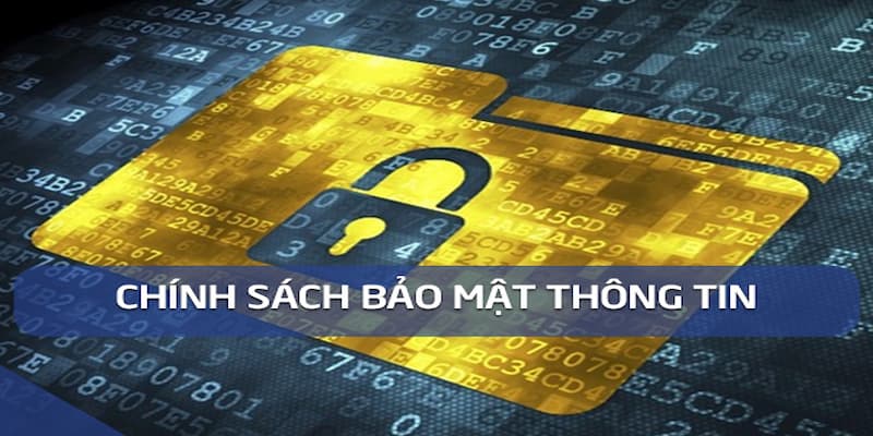 chính sách bảo mật Quyền lợi trong chính sách bảo mật