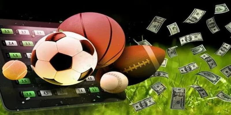 Cá cược thể thao B52club Tại sao cá cược thể thao B52club lại thu hút?